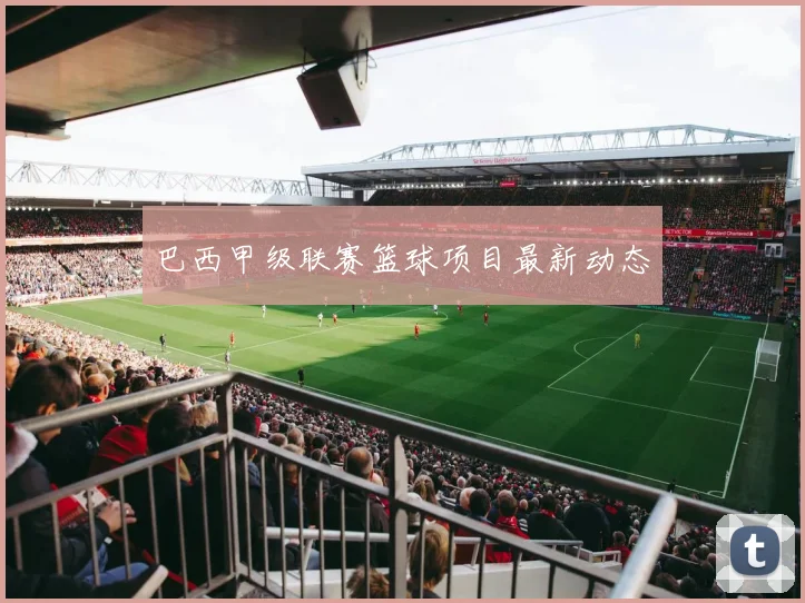 巴西甲级联赛篮球项目最新动态
