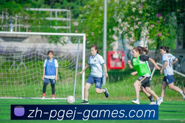 PG电子官方网站平台生态图